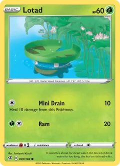 Lotad Reverse Holo