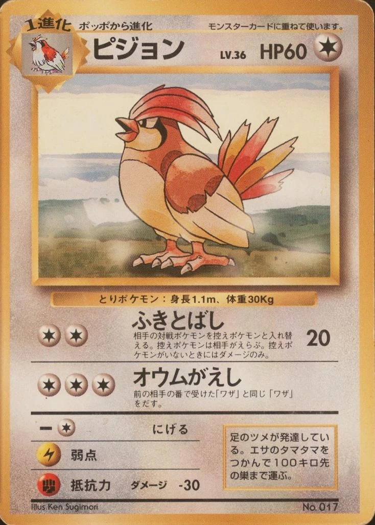 Pidgeotto No Rarity #17