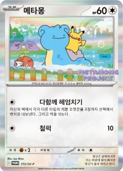 Ditto 173sv P
