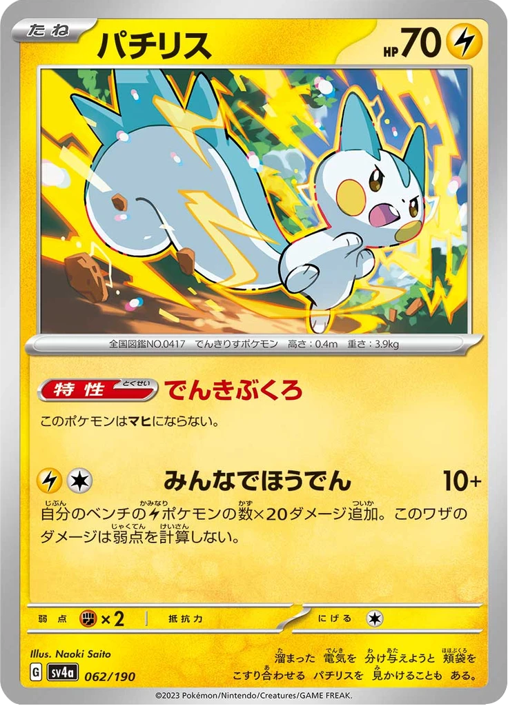 Pachirisu #62