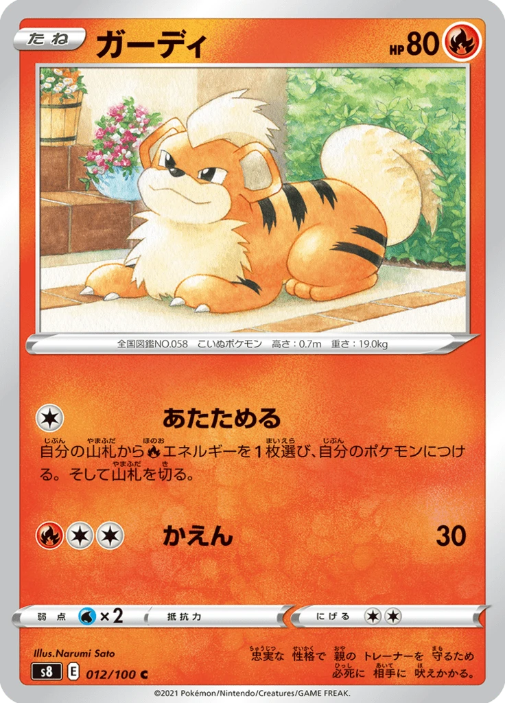 Growlithe #12