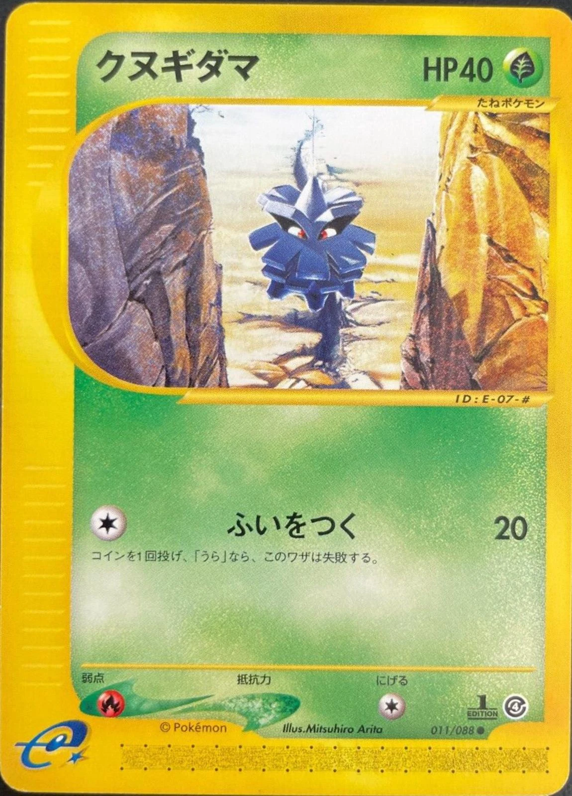 Pineco #11
