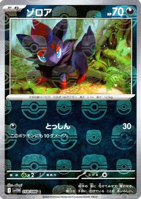 Zorua Master Ball #58
