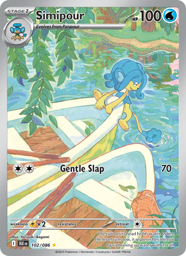 Simipour #102