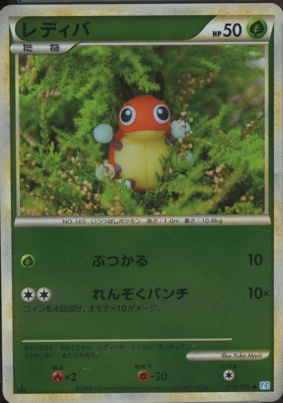 Ledyba #10