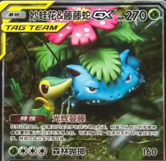 Venusaur & Snivy GX