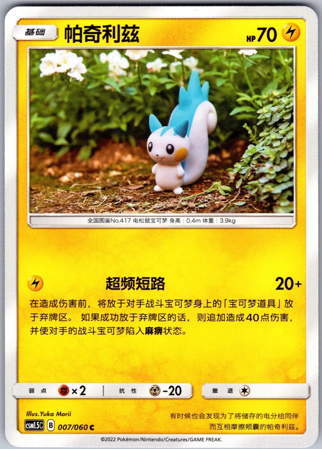 Pachirisu #7
