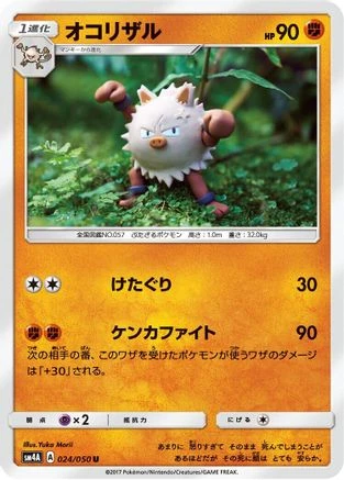 Primeape #24