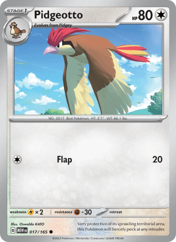 Pidgeotto #17
