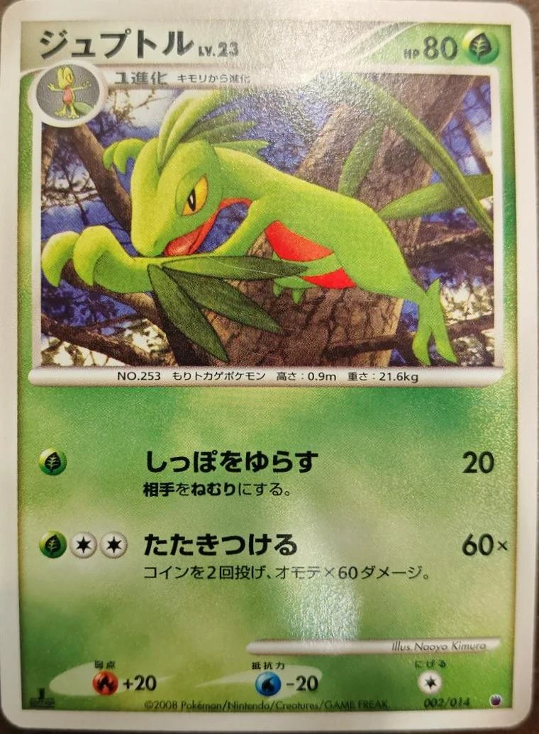 Grovyle #2
