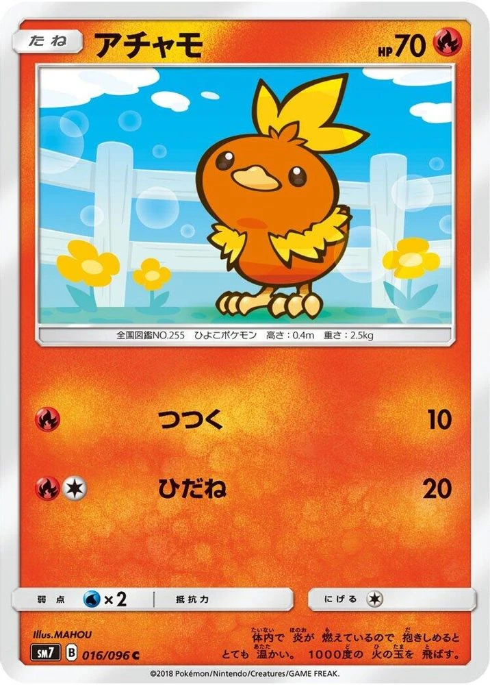 Torchic #16