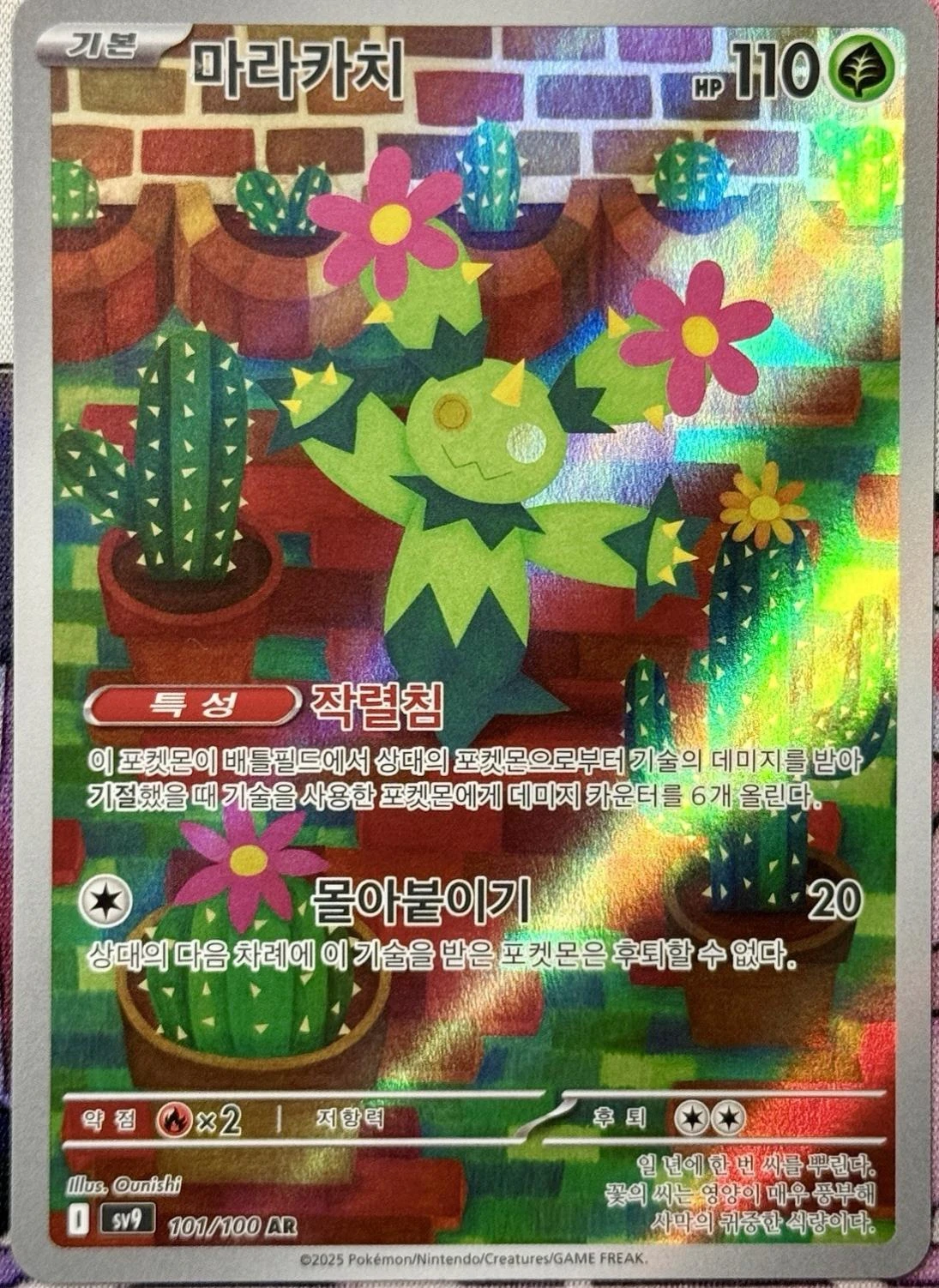 Maractus #101