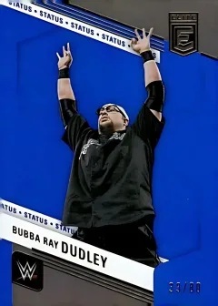 Bubba Ray Dudley [Status]