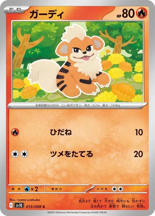 Growlithe #13