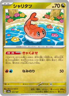 Tatsugiri Master Ball