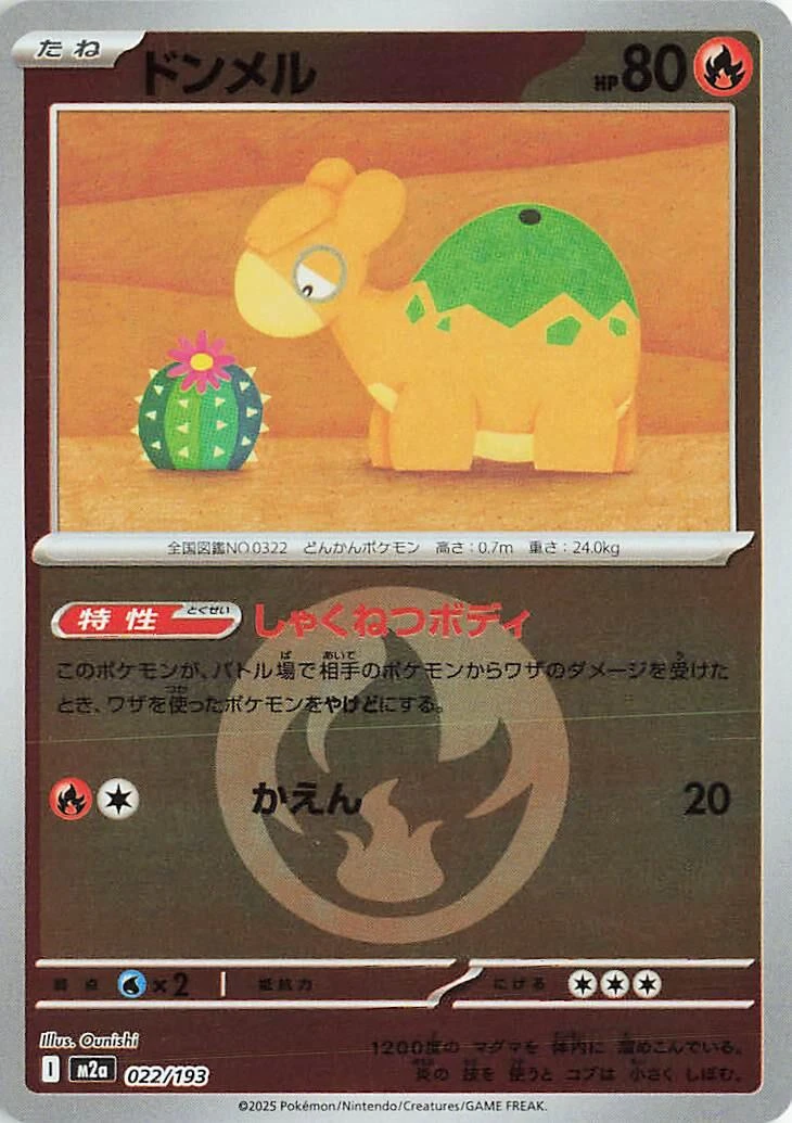 Numel Energy #22