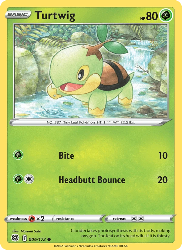 Turtwig #6