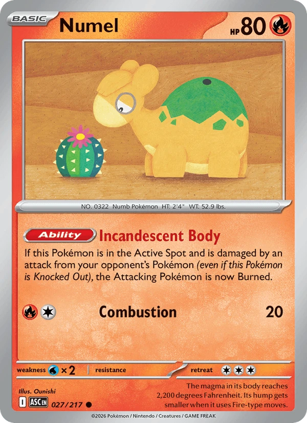 Numel #27