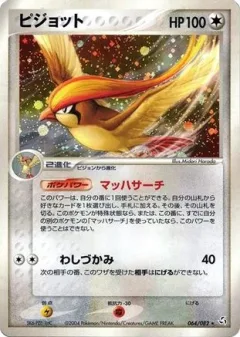 Pidgeot 1st Edition