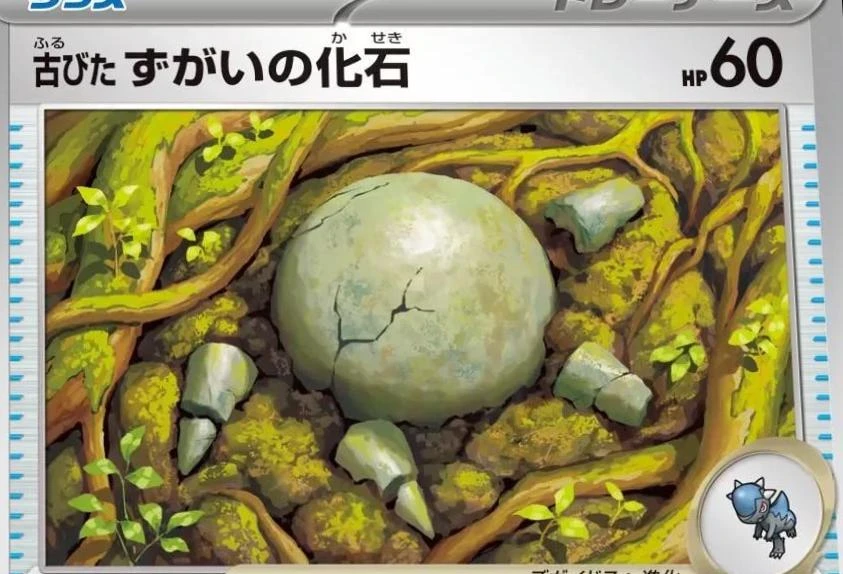 Antique Skull Fossil #71