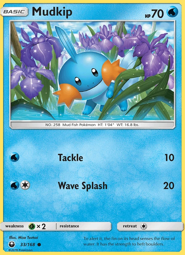 Mudkip #33