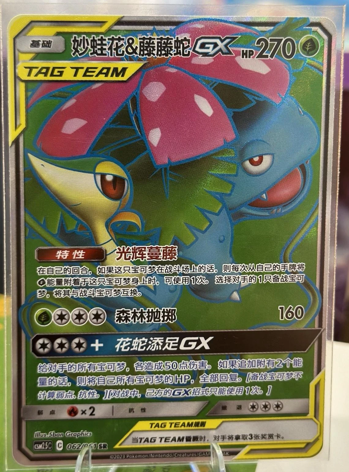 Venusaur & Snivy GX #62