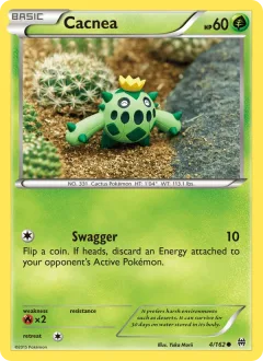 Cacnea Reverse Holo