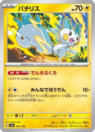 Pachirisu #62