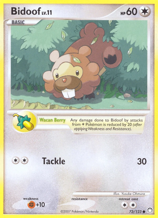 Bidoof #73