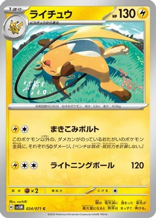 Raichu #24