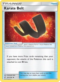 Karate Belt Reverse Holo