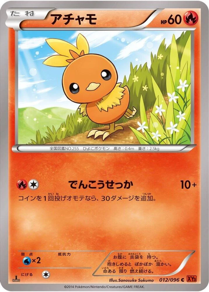 Torchic #12