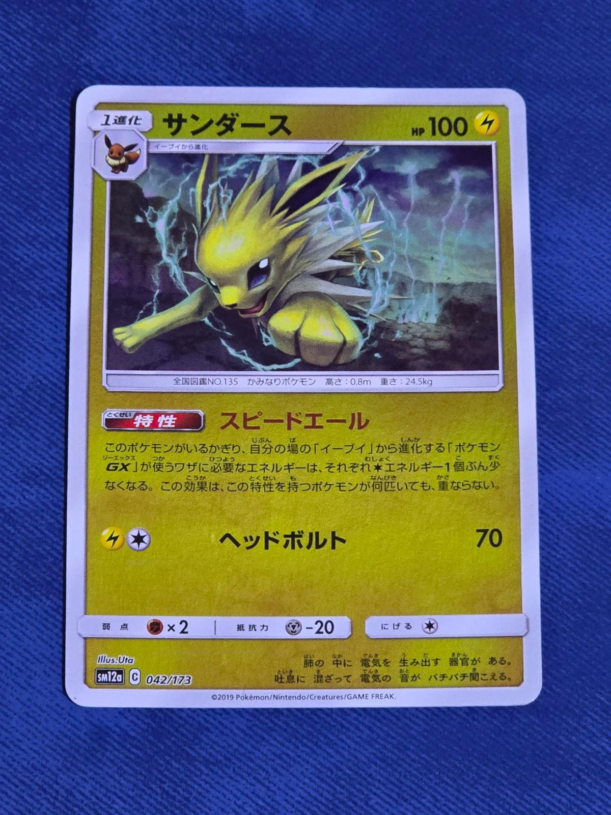Jolteon Holo #42