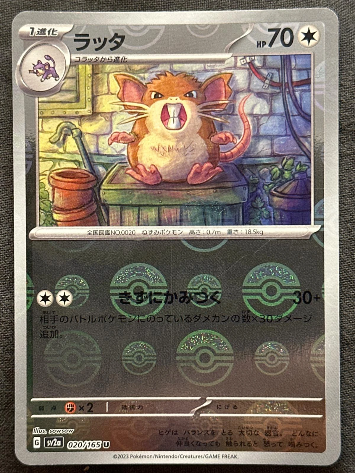 Raticate Master Ball #20