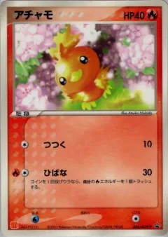 Torchic 4adv P