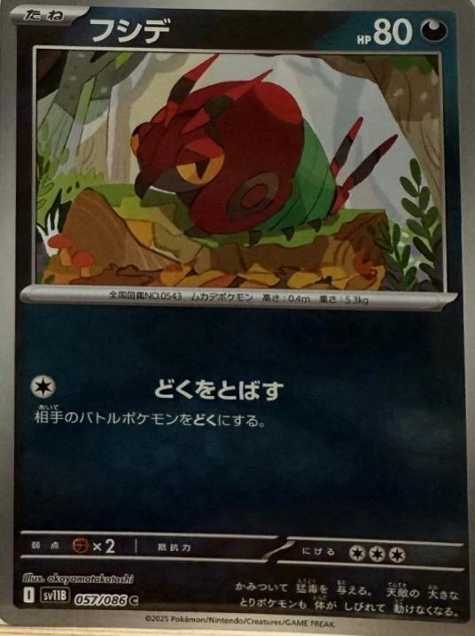 Venipede Poke Ball #57