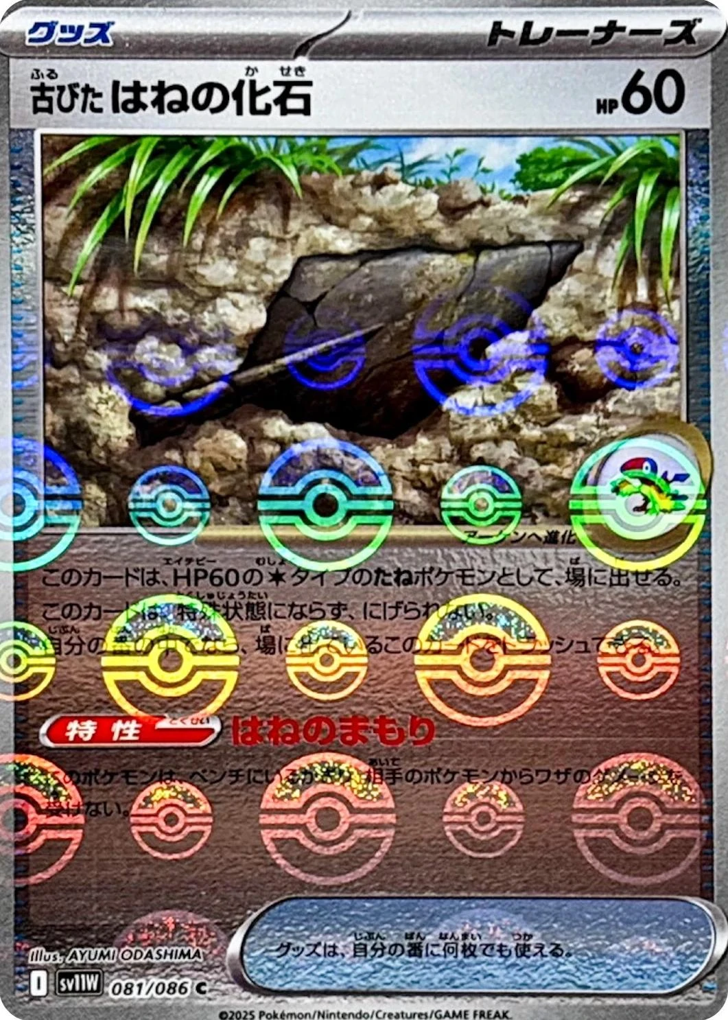 Antique Plume Fossil Poke Ball #81
