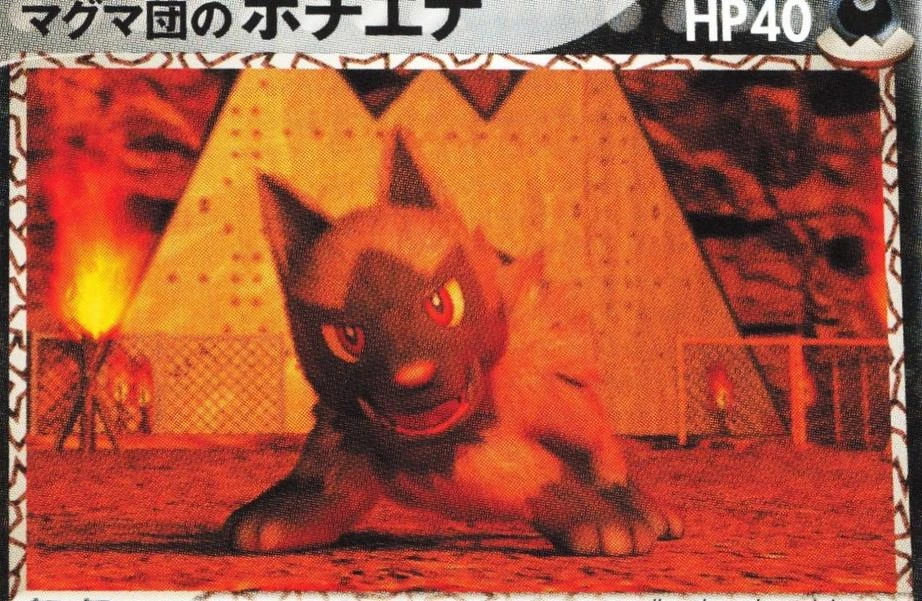 Poochyena 1st Edition #20