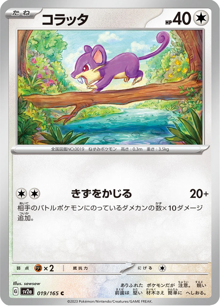 Rattata Master Ball #19