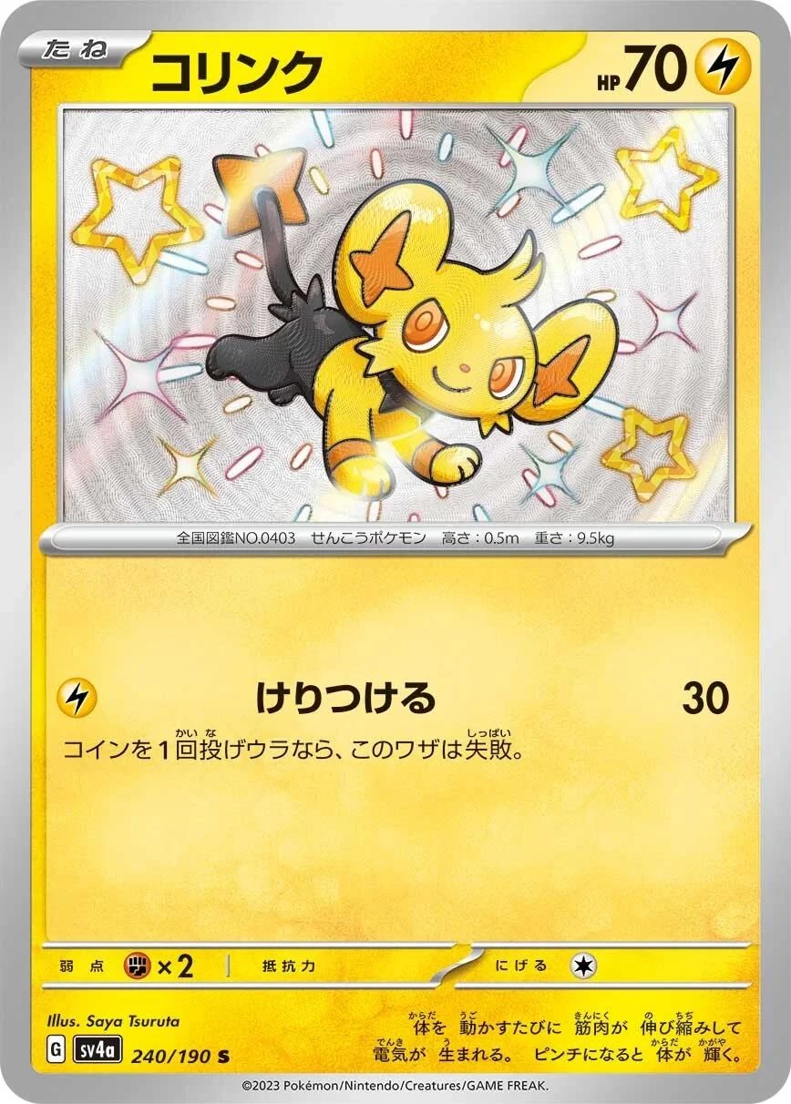 Shinx #240