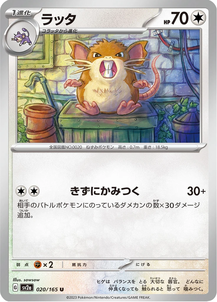 Raticate Reverse #20