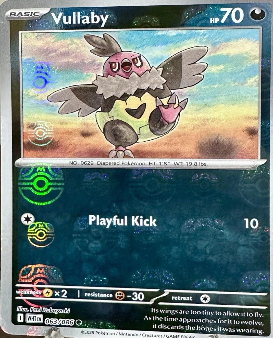 Vullaby Master Ball #63