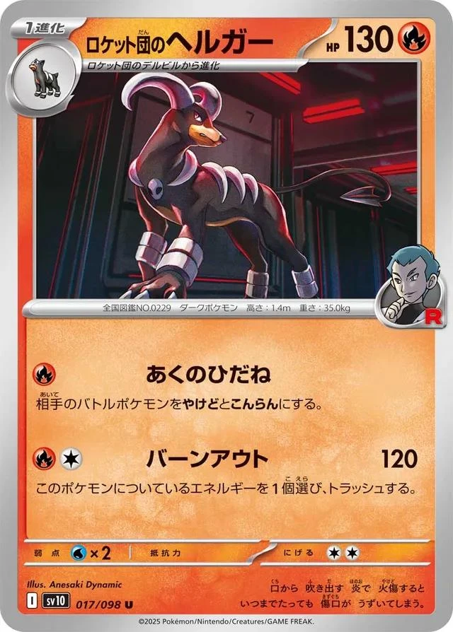 Team Rocket's Houndoom #17