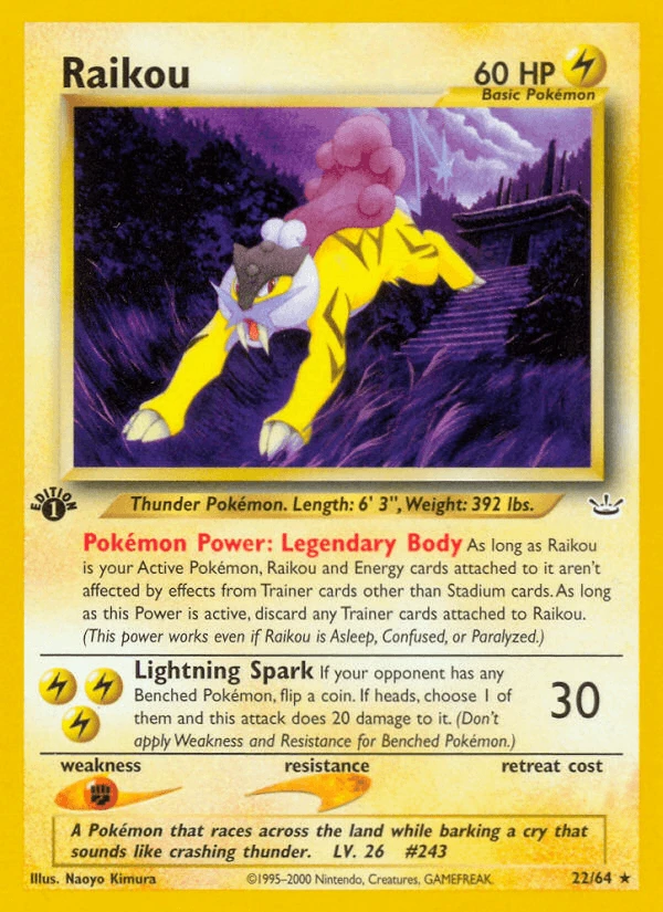 Raikou #22