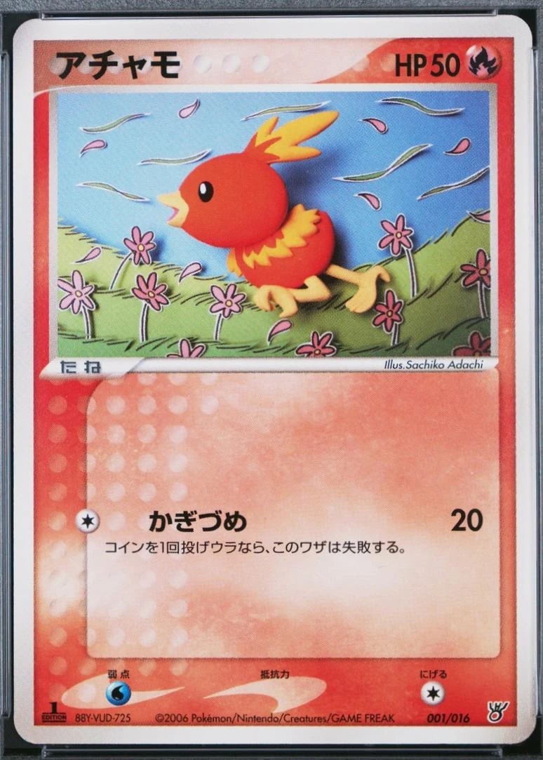 Torchic #1