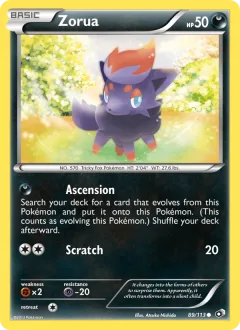 Zorua Reverse Holo