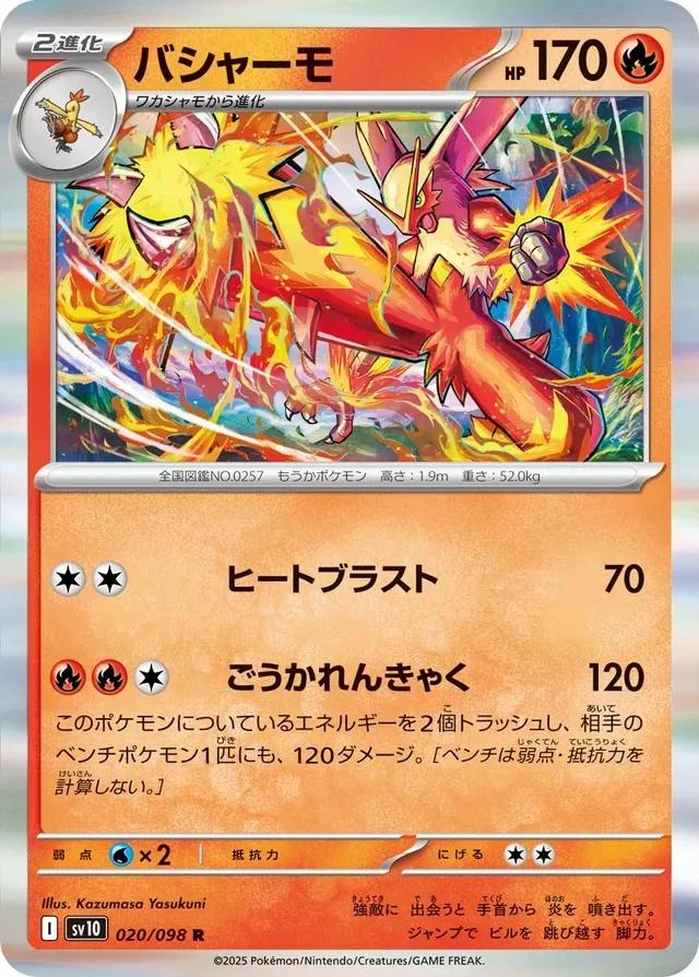 Blaziken #20