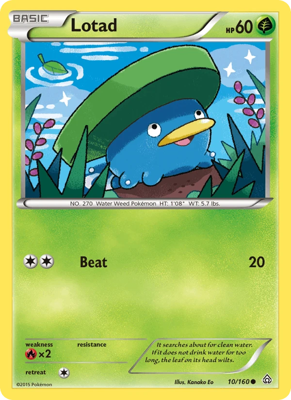 Lotad #10