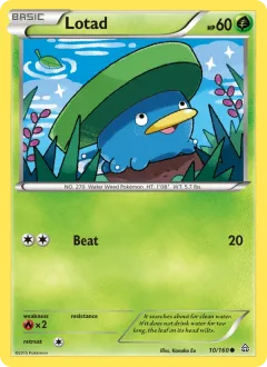 Lotad Reverse Holo