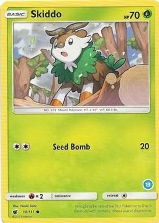 Skiddo #13